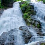 One of the waterfalls in California flows down rocks, surrounded by lush greenery.