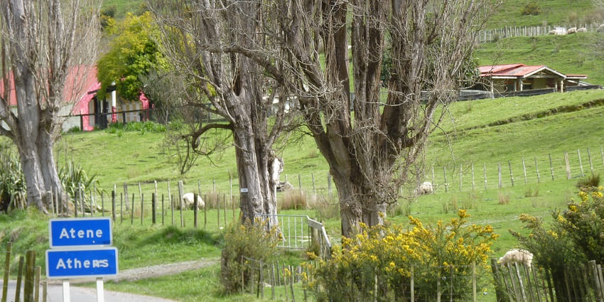 Explore Whanganui National Park, located near the main destination.