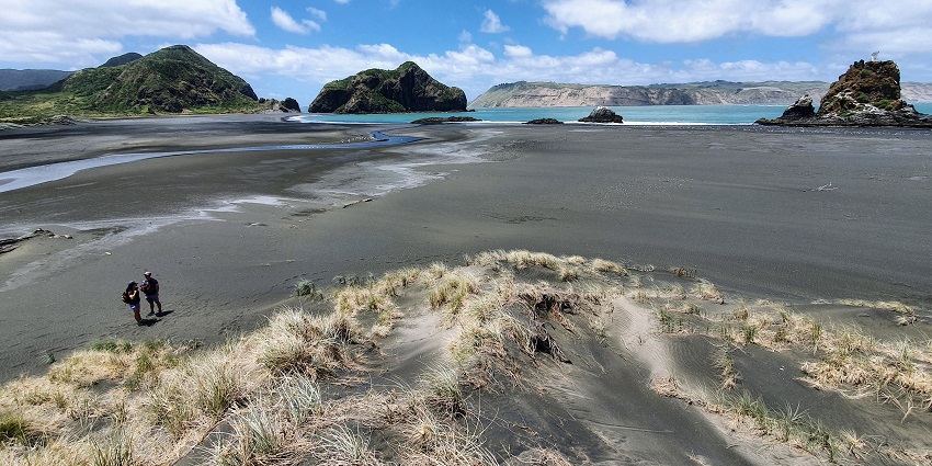 Whatipu beach near Auckland has striking features.