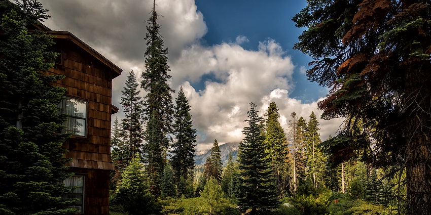 An image of Wuksachi Lodge surrounded by the beauty of nature.