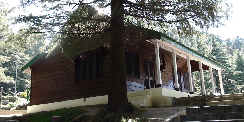 Cottages and cabins offering comfortable lodging near Springbrook National Park