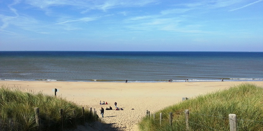 Wibaut Beach, is among the best beaches in Amsterdam offering laid-back vibes and picnic spots.