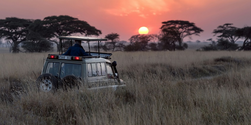 A close-up view of a Nagzira Wildlife Sanctuary during Nagzira jungle safari.