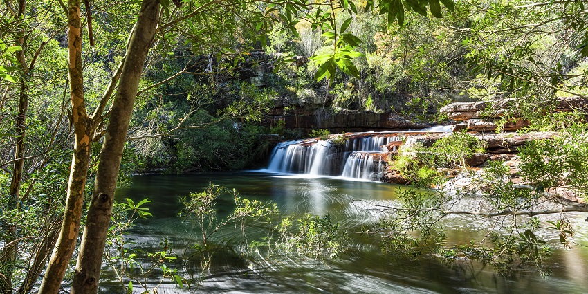 Enjoy the tranquility of Winifred Falls, during a trip to Royal National Park.