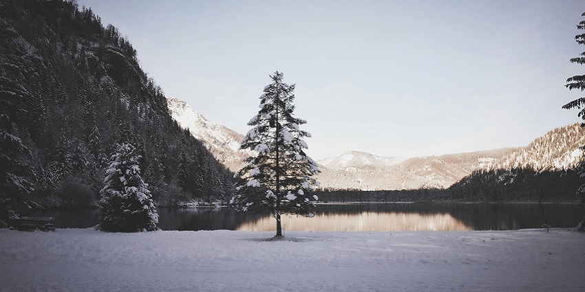 An image of the Winterlake Lodge surrounded by untouched snow-covered forests.