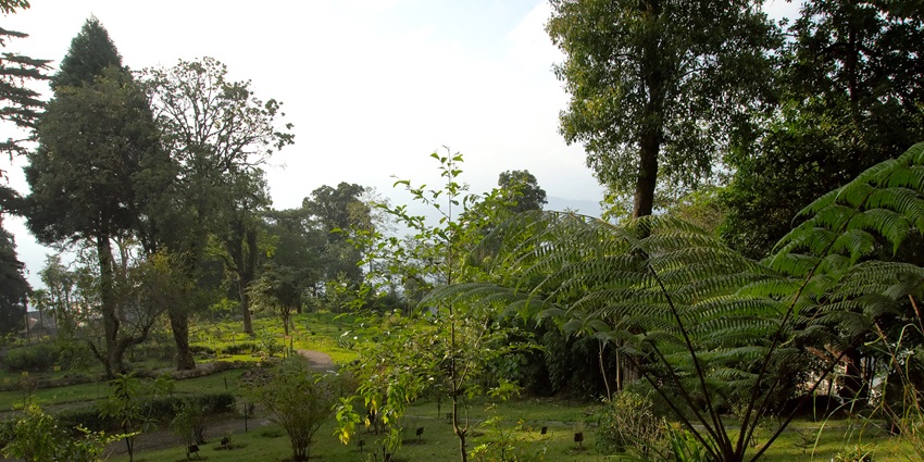 A historical monument at Lohia Park, one of the best things to do in Ghaziabad.