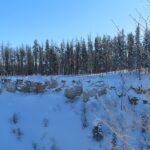 A scenic view of snow-covered paths in the Wood Buffalo National Park.