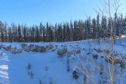 A scenic view of snow-covered paths in the Wood Buffalo National Park.