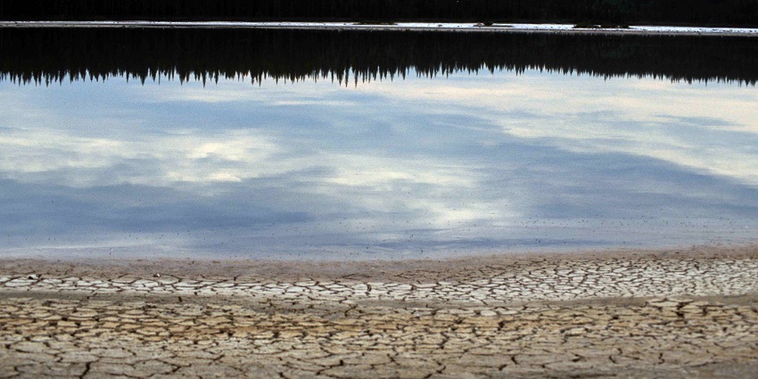 The image shows Pine Lake in Wood Buffalo National Park, Alberta, Canada, surrounded by trees.