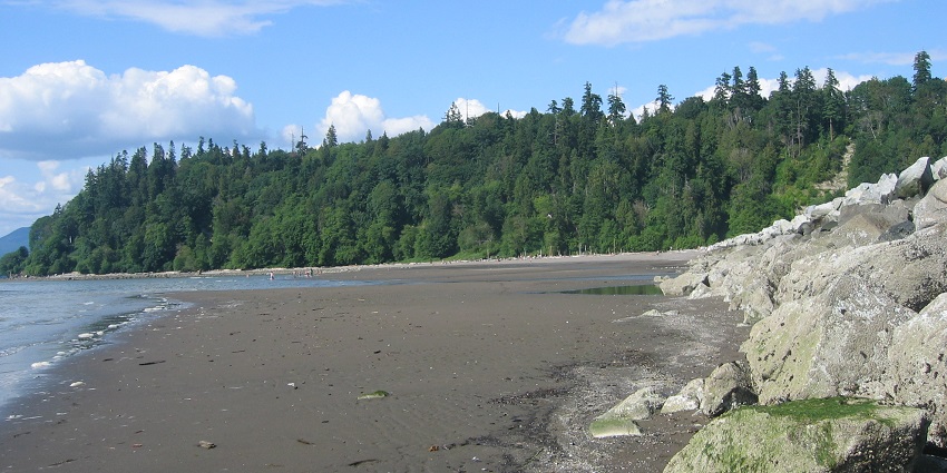 An empty Wreck Beach surrounded by huge trees is one of the beaches in Vancouver, BC.