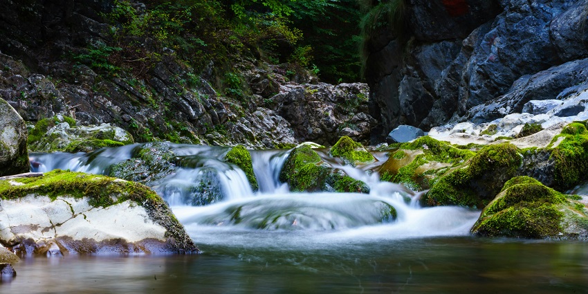 An image of Wyndham Falls tumbling over rocks into wide rivers inside a green forest