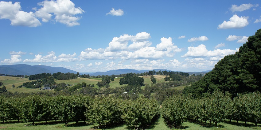 Vast Yarra Valley is perfect for a thrilling skydiving experience in Melbourne