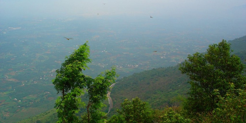 A serene hill station, Yelagiri, which is one of the key places to visit near Vellore