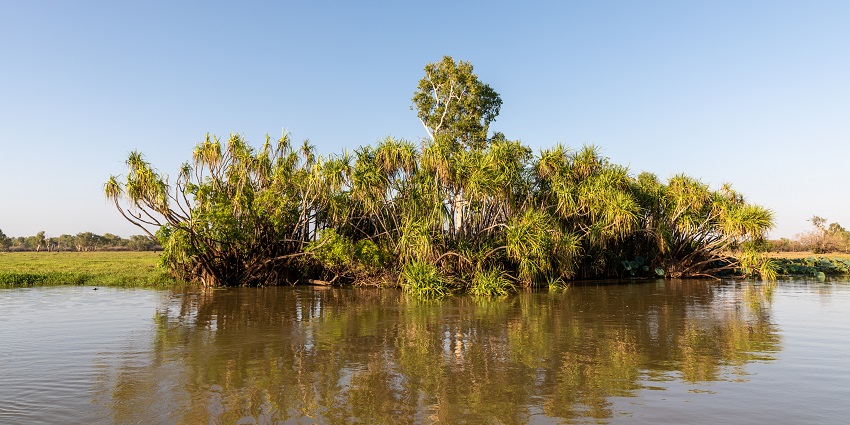 Alluring view of Yellow Water Billabong, near Kakadu National Park