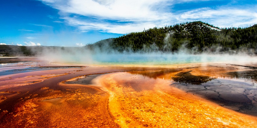 The picturesque view of Yellowstone National Park in Wyoming surrounded by lush greenery