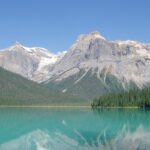 An image of tall trees and nature surrounding Yoho National Park In Canada