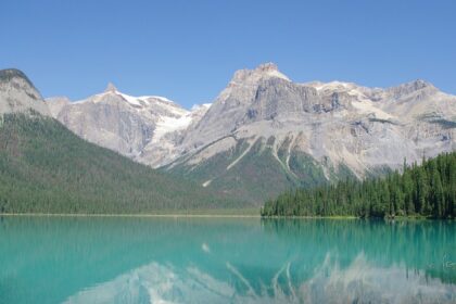 An image of tall trees and nature surrounding Yoho National Park In Canada