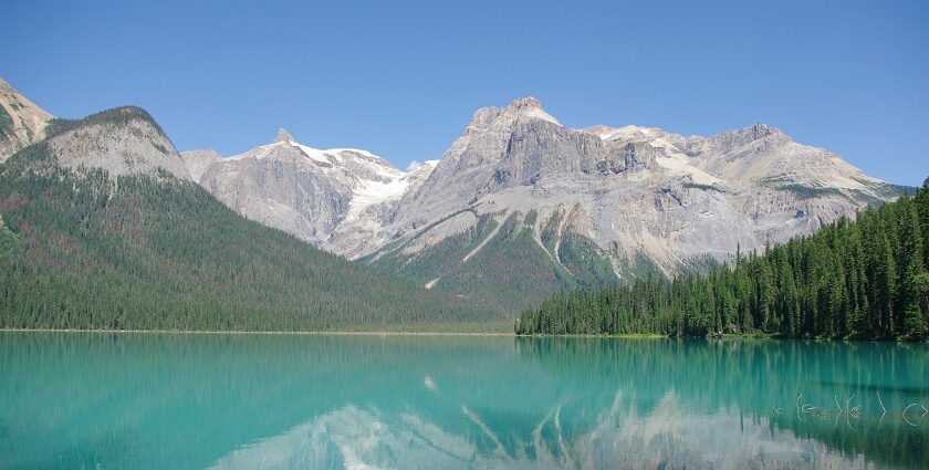 An image of tall trees and nature surrounding Yoho National Park In Canada