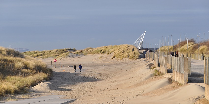 Picturesque port town with beaches, seafood, and maritime attractions.