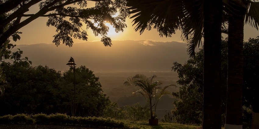 Zona Cafetera, a place to visit in Colombia, is the core of Colombian coffee