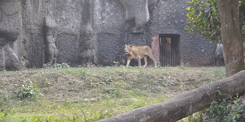 Historic white colonial-style entrance building of Alipore Zoological Garden, Kolkata