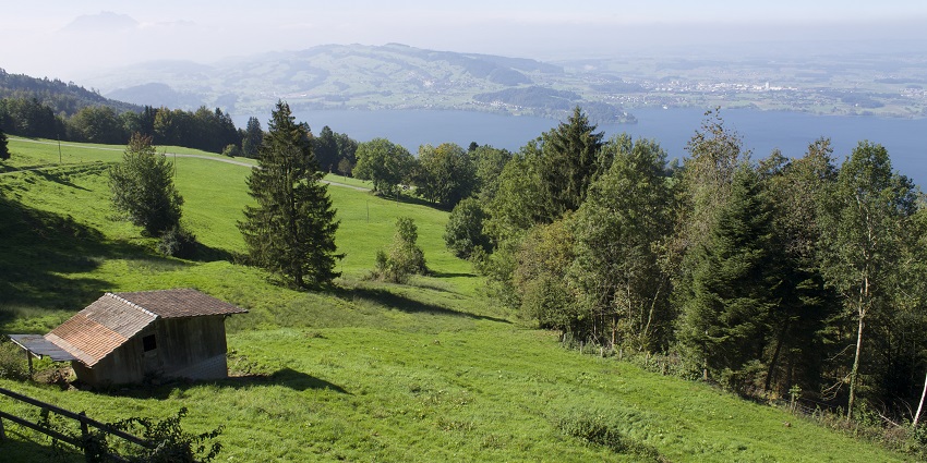 Greenery around Zuurberg Mountains, a place near Addo Elephant National Park