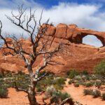 Skyline Arch in Arches National Park, Utah, framed by a dead tree and desert landscape