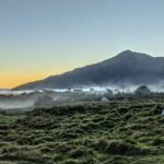 A panoramic view of Haleakala National Park with volcanic landscape and clear skies.