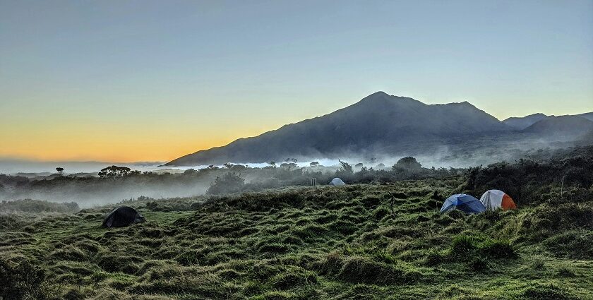 A panoramic view of Haleakala National Park with volcanic landscape and clear skies.