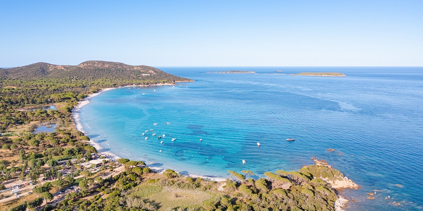 Pristine beach with soft sand, clear waters, and pine trees.