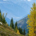 North Cascades National Park, showcasing rugged mountains and snow-capped peaks.