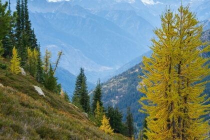 North Cascades National Park, showcasing rugged mountains and snow-capped peaks.