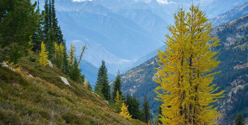 North Cascades National Park, showcasing rugged mountains and snow-capped peaks.