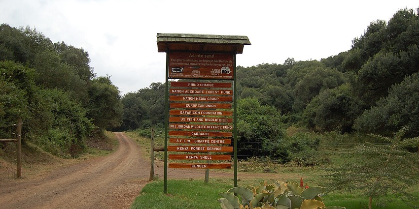 Aberdare National Park with a big signboard with multiple signages, amidst embarking on Kenya jungle safari.