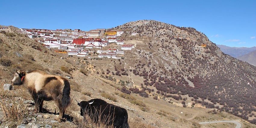 Ganden Monastery is a tranquil spot for meditation and self-reflection.