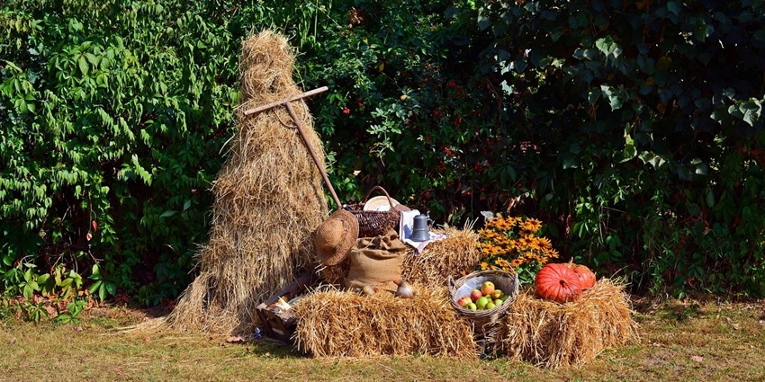 A festival of gratitude, Nuakhai marks the harvest festival in Odisha.