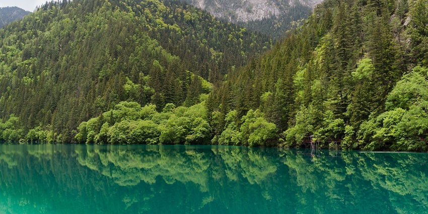 Volcanic craters, hot springs, and colourful lakes are some of the most stunning natural sights.
