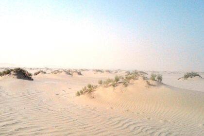 Desert Safari in Qatar offers thrilling adventures with dunes, camels, and cultural experiences.