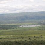 A wide view of vast greenery at Akagera National Park in Rwanda.