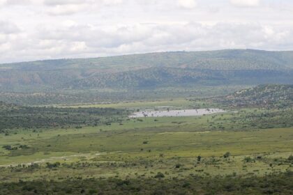 A wide view of vast greenery at Akagera National Park in Rwanda.