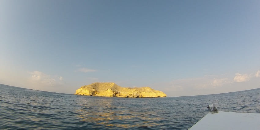 Scenic Island is known for its stunning beaches and coral reefs.