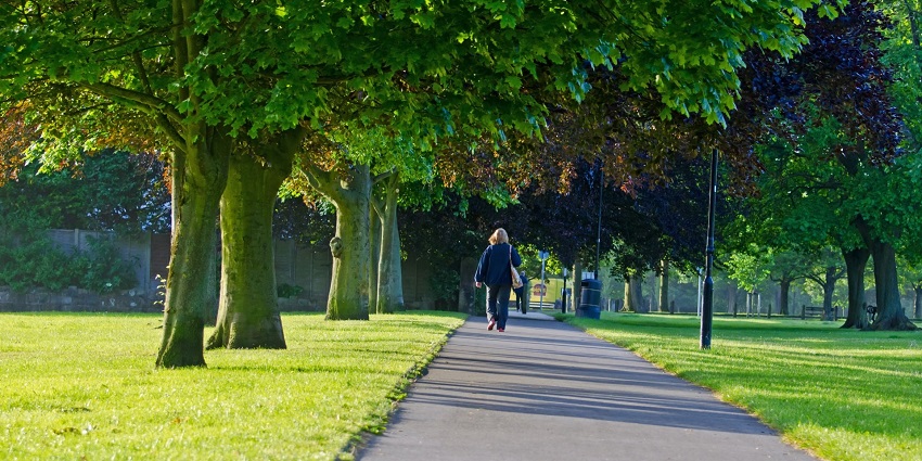 Urban park with greenery, walking paths, and cultural exhibitions.