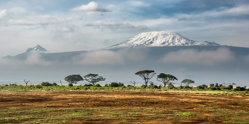 Amboseli National Park landscape with green trees and Mount Kilimanjaro in the background.