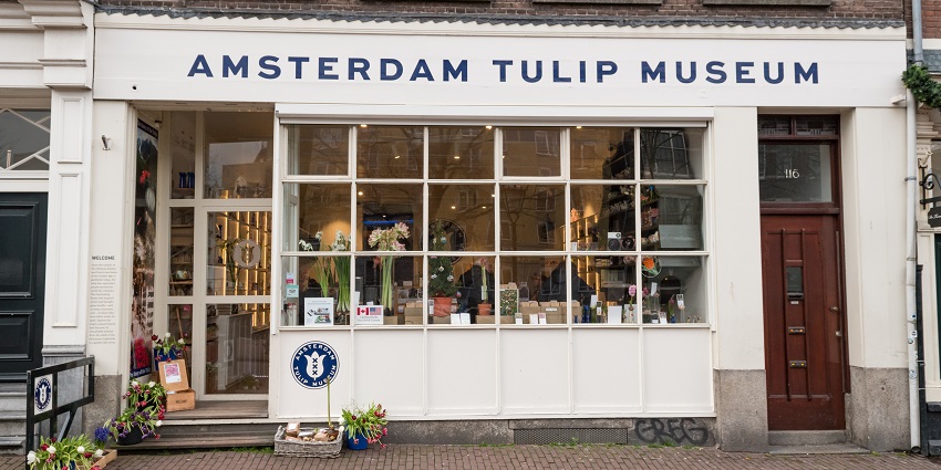 Amsterdam Tulip Museum is located near to the Anne Frank Museum