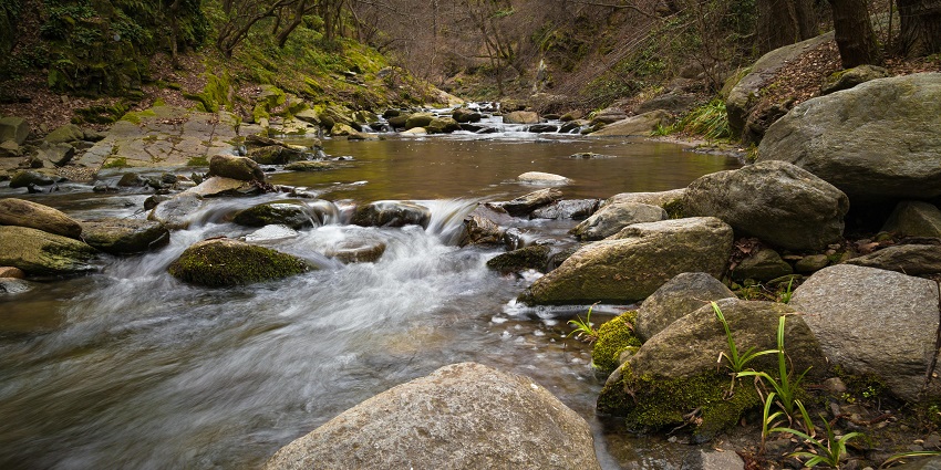 A place surrounded by small streams and rocks, providing a gorgeous view.