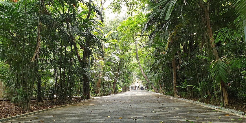 Arroceros Forest Park offers lush greenery, tranquil paths, and nature.