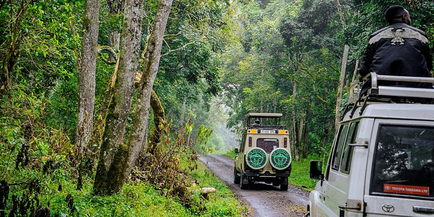 Image of Tourist Visiting Arusha National Park in Tanzania