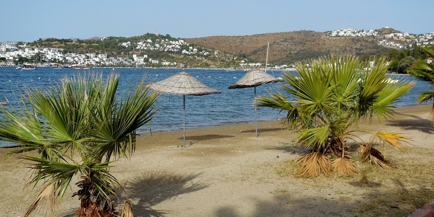 Image of a beach near hills and buildings around - hills covered in lush greenery