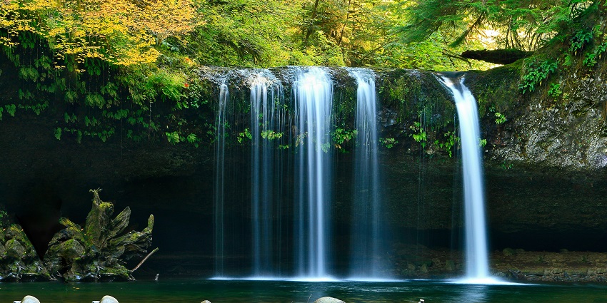 Immerse yourself in the tranquil beauty of Bamanbudo Waterfall, a hidden gem in South Goa.