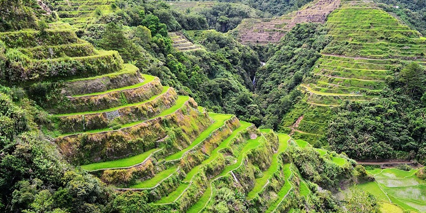 Mountains with lush greenery are the best places to visit in the Philippines in July